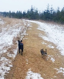 Dog Boarding Exercise