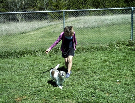 Dog Boarding Saukville, WI