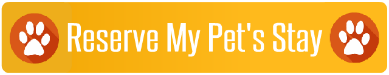 Autumglo Pet Lodge offers premier dog & cat boarding north of Milwaukee – reserve your pet’s stay today! Dog Boarding Fredonia West Bend WI