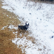 Dog Day Care Newburg WI 