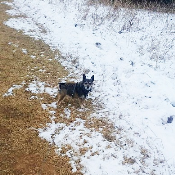 Dog Day Care Newberg WI 