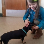 Oostburg Dog Boarding Helper Kennels